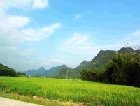 重返家乡看变化，多彩乡村伴我行