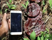 与村书记详谈留垌村种植业