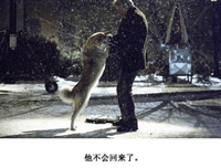 最全的《直到那一天》经典语句