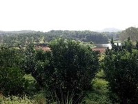 岭南师范学院筑梦方舟社会实践的有趣的支教旅途