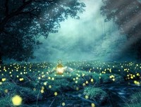 萤火筑梦：青年脚印在思贺，教育未来在青年