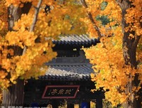 岭南师范学院“红心筑梦队”三下乡-跨过屏幕传递爱