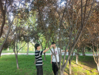 筑梦方舟前行路，乡村振兴进行时