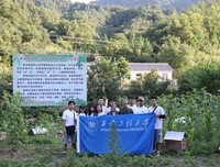  线上线下齐努力，同为调研出己力
