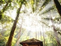《这些植物你了解吗？》
