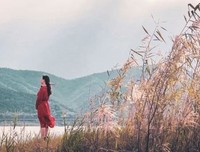 人生最难的修行：进窄门，走远路，见微光