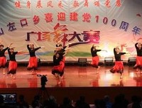 “红心向党”社会实践实践心得