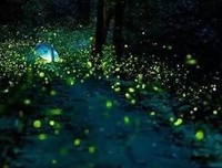 仲夏繁星社会实践队——心系三下乡，走进宣传组