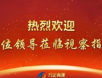 领导视察