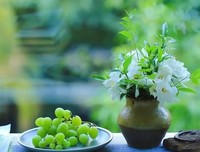 越有涵养的人，越懂得让步