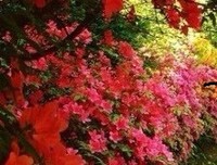 其实，子女对爸爸妈妈的爱，是最无条件的爱