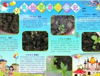 《中国古代神奇植物图鉴》的读后感大全