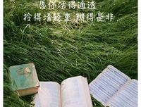不畏将来，不念过往的句子