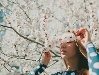 黑格尔的哲学句子