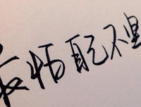 最新的《姐姐立正向前走》经典句子大全
