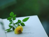 佛说：人生本路过，何须千千结
