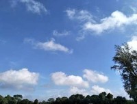 稚嫩的你们，我们一起成长