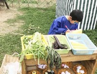 创造性游戏培训反思
