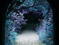 《我当方士那些年》经典句子大全