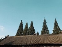 记忆深处