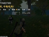 哧溜哧溜游泳池读后感摘抄