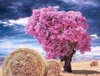 关于每日一读的句子