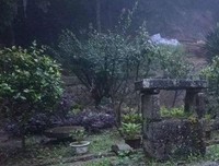 柏子山计划（连载） 第二十二章 “老赵”救外孙暴露身