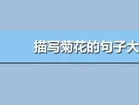 普鲁斯特 追忆似水年华优美的句子