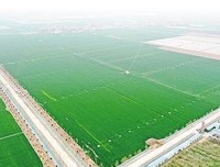 人民网评：建设高标准农田，端牢中国饭碗