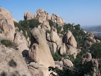 柏子山计划（连载）第五十五章 得索归乡又出家