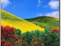 三毛——张爱玲优美的句子