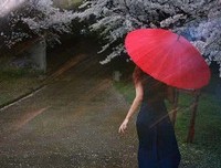 风雨情