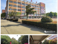 领导来学校检查的日子