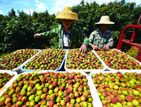 去了解，去收获