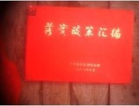 柏子山计划（连载）第六十六章 落实政策