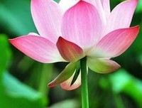 生活常知足 工作不满足