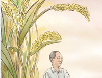 关于句子名言名句