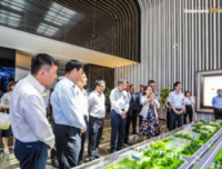 交通，为区域战略实施发挥先行作用