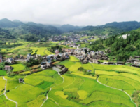 城里人打起了农村宅基地的“歪主意”，根源何在？