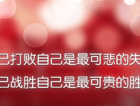 句子的句子