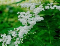《曾国藩》的句子