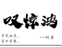 收官硇洲行，惊鸿仍在路上