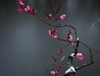 暗香