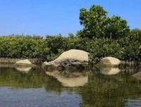 相约惊鸿，共约硇洲