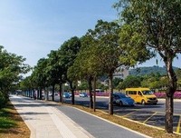 在建设文明城市中提升文明新高度