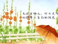 关于读后感的唯美语录
