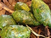 道中还有道（连载）第92章 钱五又咬出‘大老虎’
