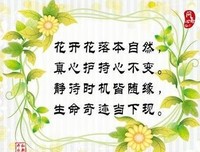 有缘 无缘 惜缘 随缘