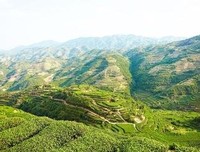 如果现代化是片田，“三牛”耕出了什么