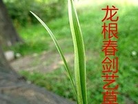 道中还有道（连载）第97章 龙根舍命陪酒